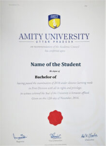 Amity Online BATA Degree