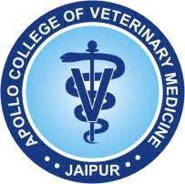 Bets B VSc Institute